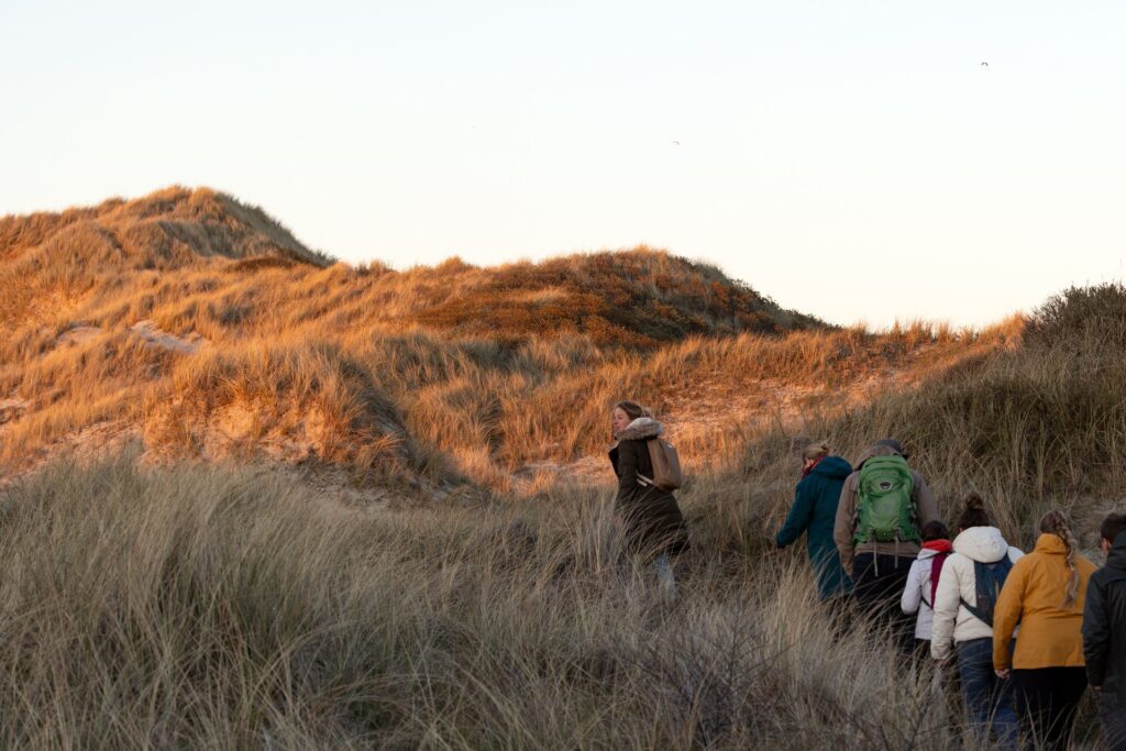 Wandelaars lopen de schemer in door de duinen bij Oosterend tijdens de schemerwandeling van Eilandmeisje, Terschelling