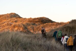 Wandelaars lopen de schemer in door de duinen bij Oosterend tijdens de schemerwandeling van Eilandmeisje, Terschelling